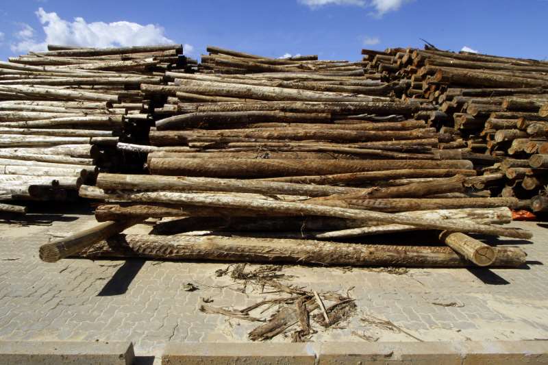 Trabalhadores foram recrutados e transportados com promessas falsas de emprego e acabaram submetidos a condições degradantes e dívidas