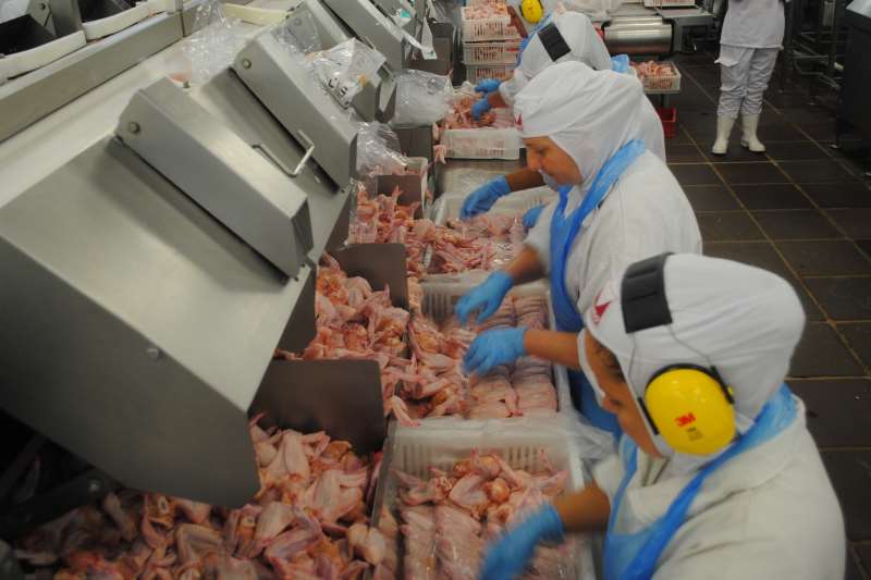 Situação mais crítica foi apresentada na Minuano; dos 305 trabalhadores, 205 tiveram resultado positivo