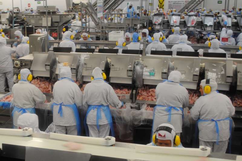 Duas plantas gaúchas, em Lajeado e em Passo Fundo, tiveram casos de contágio de Covid-19