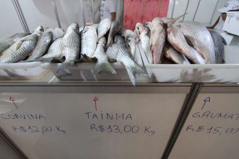 Tradicional feira de pescados prossegue até a Sexta-feira Santa, em três pontos da Capital