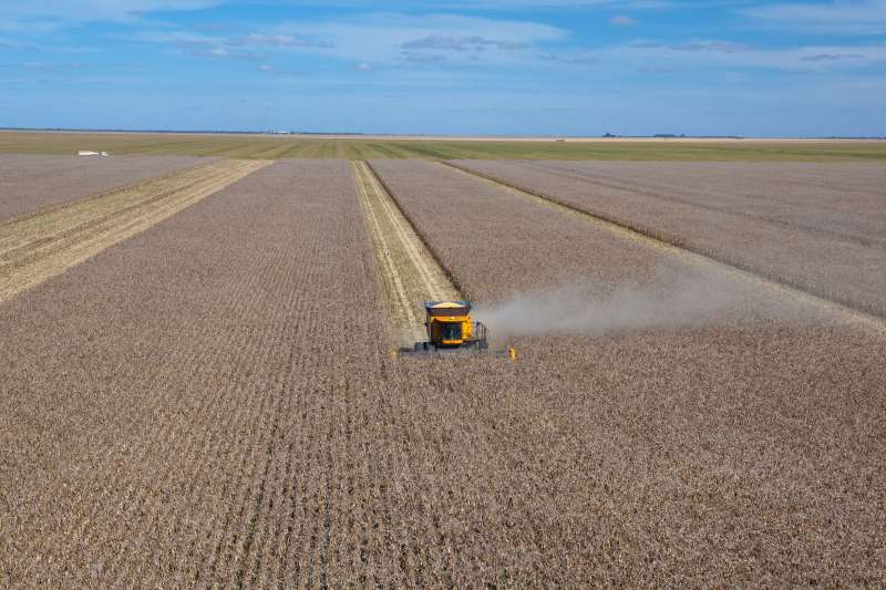 Safra recorde de grãos de 2019 totalizou 243,3 milhões de toneladas