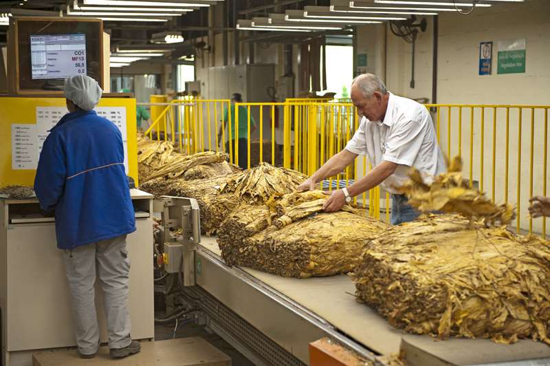 Afubra defende antecipação de compras pelas indústrias do setor