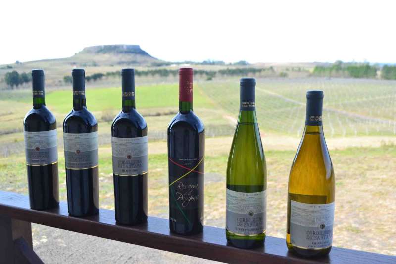 PAN - VINHOS CORDILHEIRA - DIVULGA??O CORDILHEIRA | CORDILHEIRA/DIVULGA??O/JC