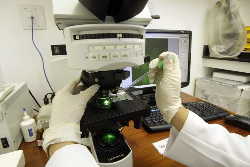 Cepa foi identifica em Pelotas por pessoa sem histórico de viagem