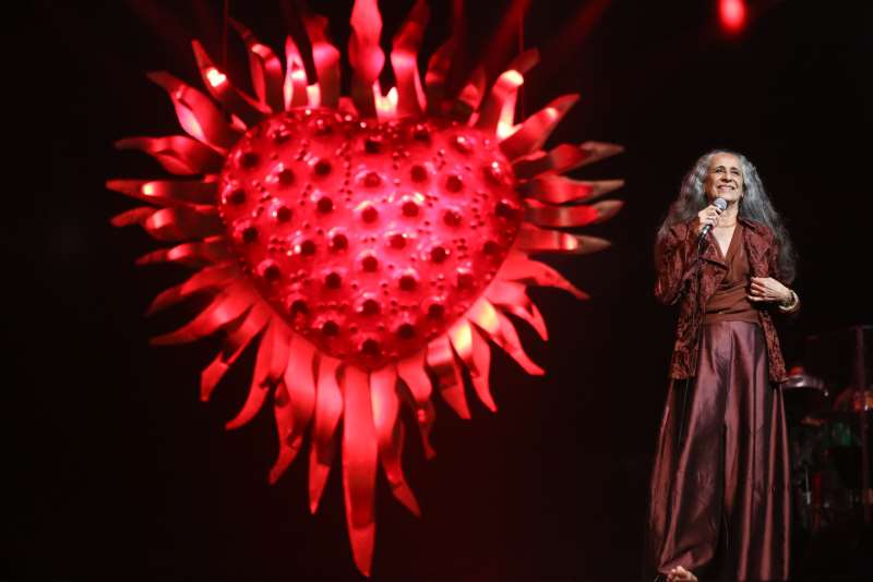 Após estreia quase ao acaso, cantora virou estrela imediata da MPB