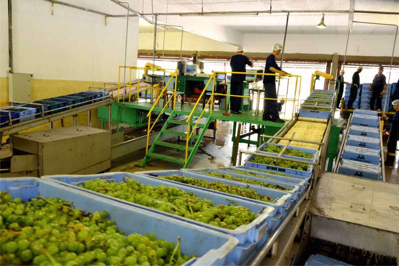 Empregados das indústrias vinícolas receberam autorização permanece para atuar nas fábricas 