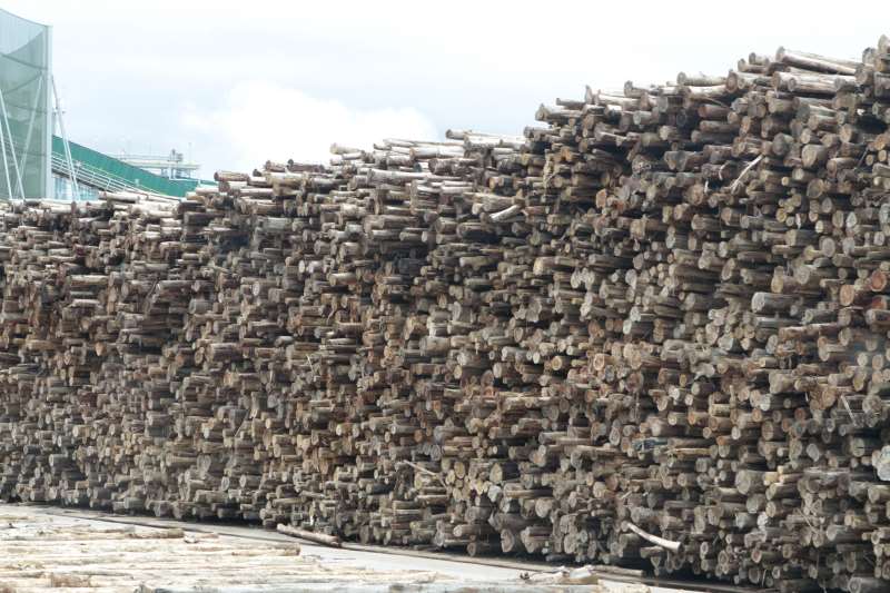Decis�o paralisava a sa�da de madeira do estado, por falta de integra��o com o sistema nacional