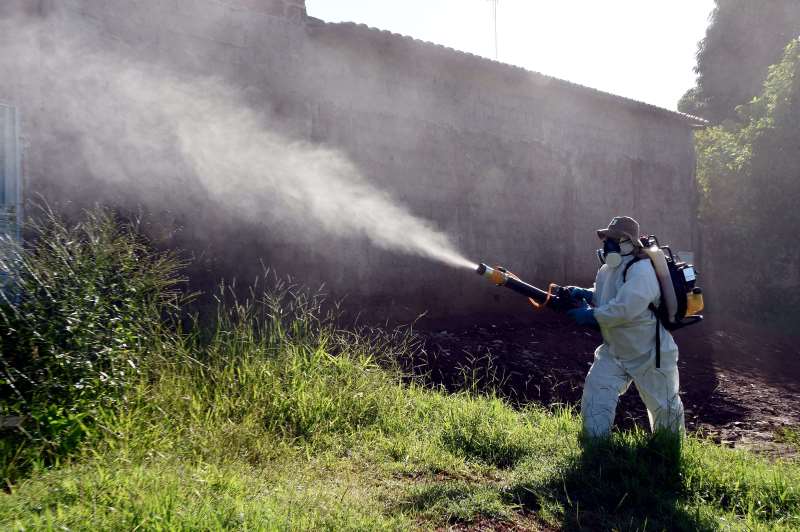Prefeitura tem concentrado ações de combate ao mosquito na zona Norte da Capital