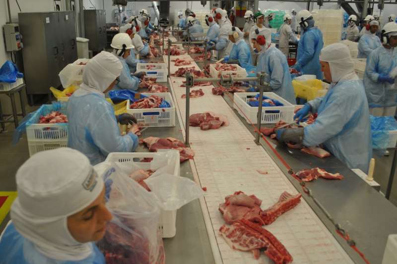 No ano, a receita com exportação de carne suína registra alta de 28,9%