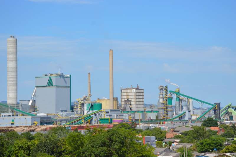 Planta de celulose em Guaíba teve produção quadruplicada em 2015  