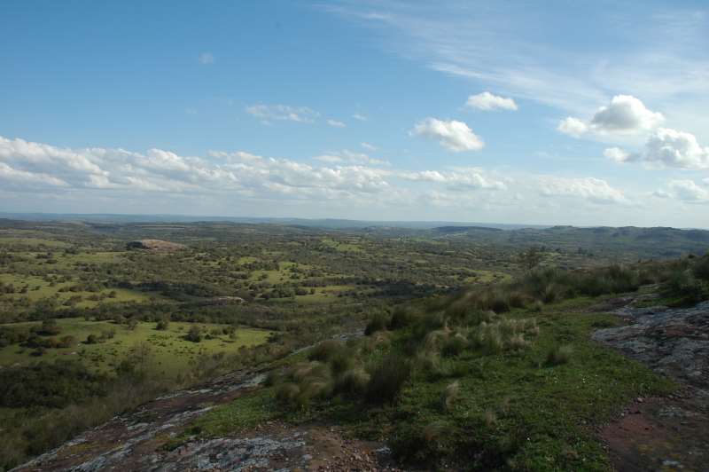 Pesquisa mostra que apenas 47,3% da vegetação natural do bioma está preservada
