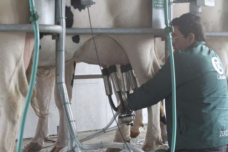 Estado também registrou números negativos na produção de leite