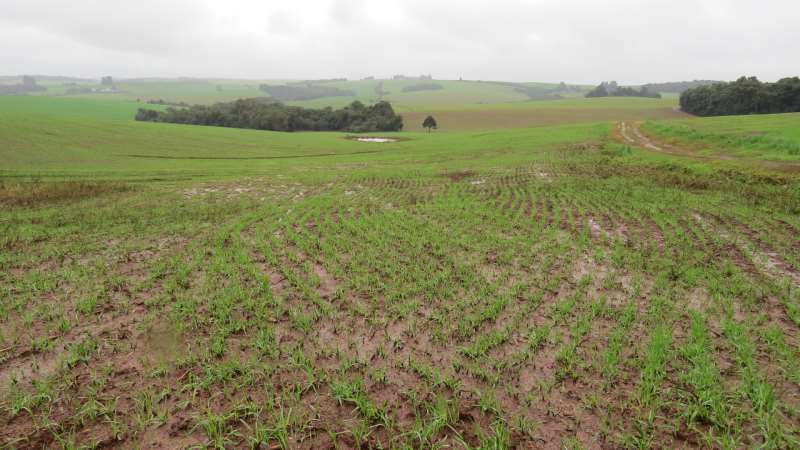 Equipe identificou modificações em áreas produtivas da Serra Gaúcha após a enchente histórica de 2024