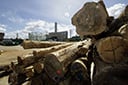 É o caso do segmento da madeira, que verá 81% das exportações aos EUA atingidas pelas novas tarifas