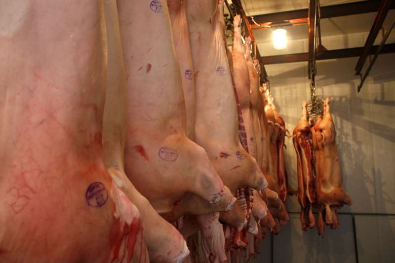 Há relatos de carregamentos com animais paralisados em todo o país