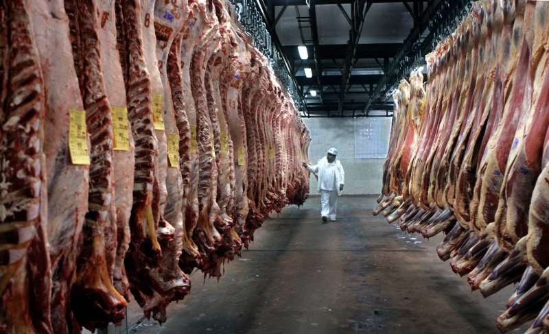 Produtos na lista de exceção são aqueles em que o Brasil é insubstituível, caso da carne bovina