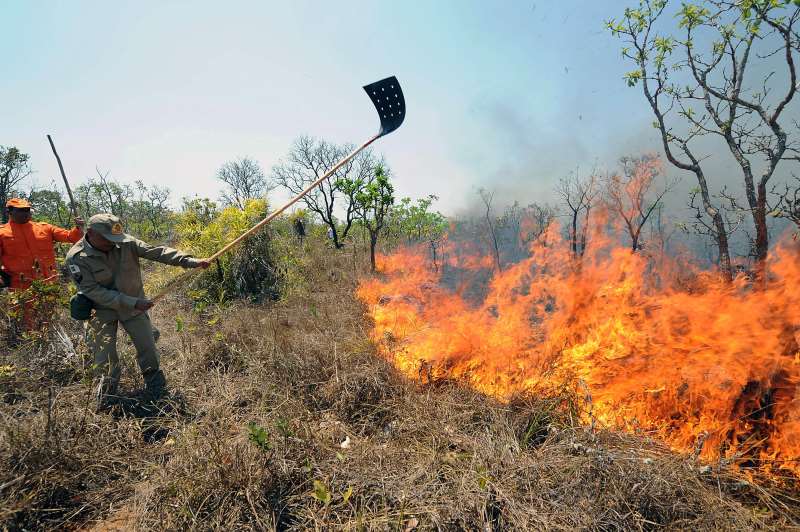 Perda da vegetação faz o planeta absorver cada vez menos o CO2 em excesso na atmosfera