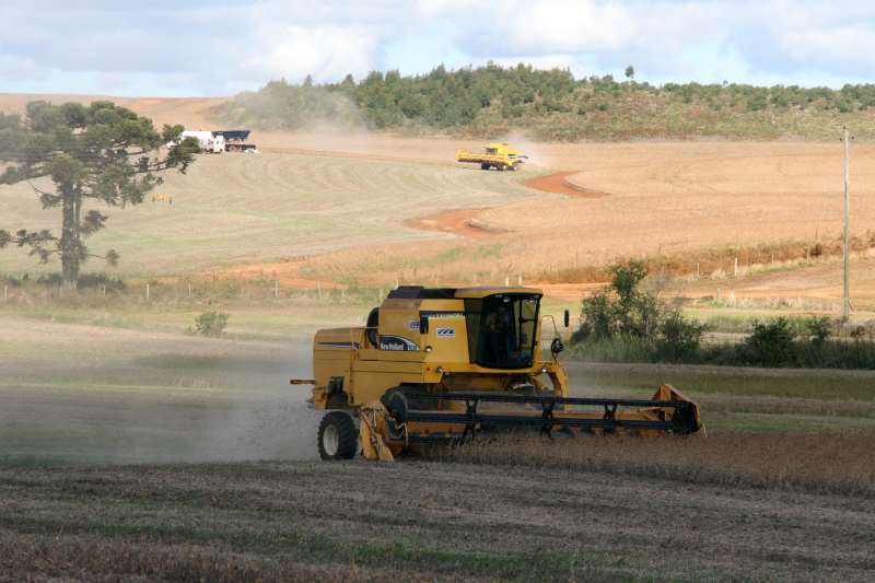 Há uma queda de 4,7% em relação à produção de 2017 e um aumento de 0,9% em relação ao mês anterior