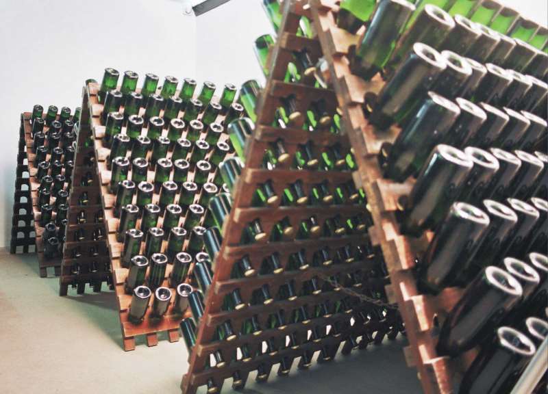 Vinícola está em constante movimento para identificar as potencialidades do seu terroir