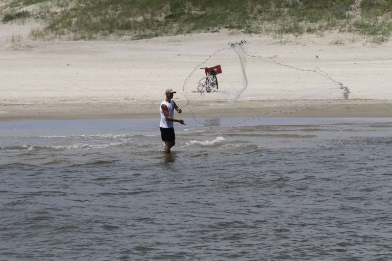 Seminário prevê apresentação de ações de monitoramento e acompanhamento da disseminação das palometas