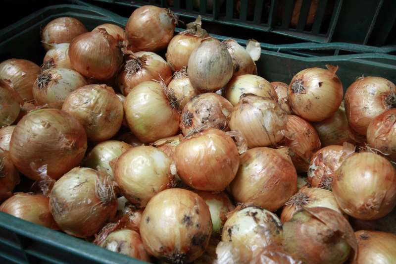 A cebola registrou a maior queda mensal em setembro, com declínio de 15% no preço médio, sendo vendido a R$ 2,50 o quilo nos supermercados