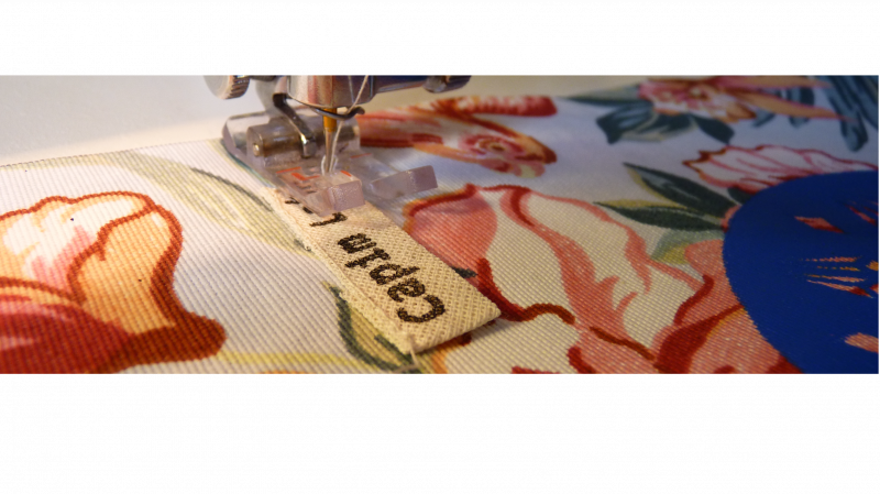  Foto: Capim Lab/Divulgação/JC