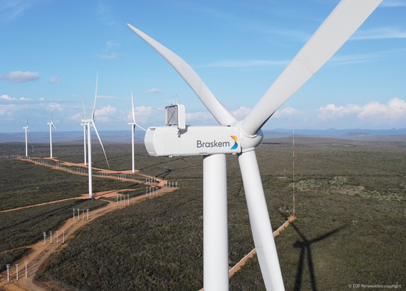 Marca lançou rede de aprendizagem sobre sustentabilidade