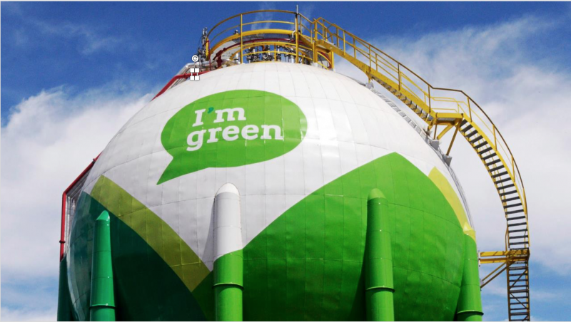 A marca Im green foi reconhecida como um dos casos mais transformadores em desenvolvimento sustentável no Brasil