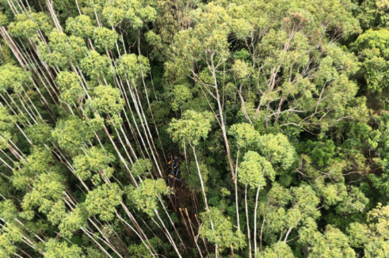 Helicóptero foi localizado em região de mata em Paraibuna (SP)