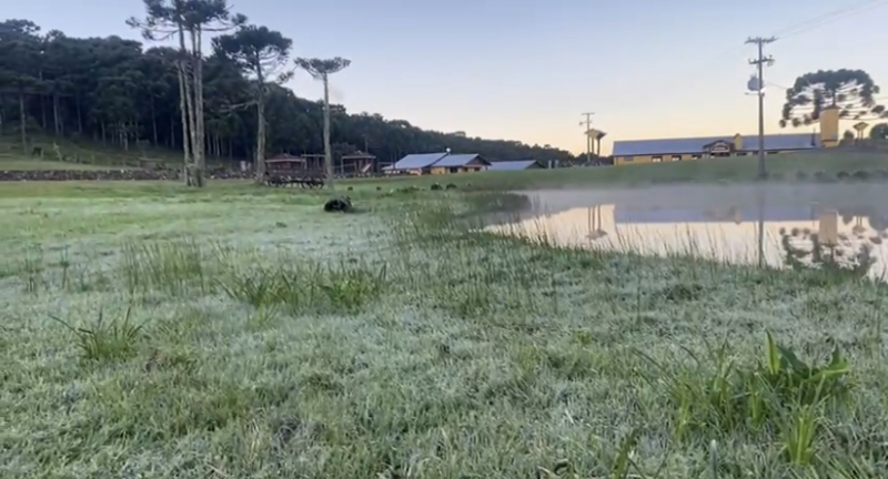 A cidade de São José dos Ausentes amanheceu com geada 