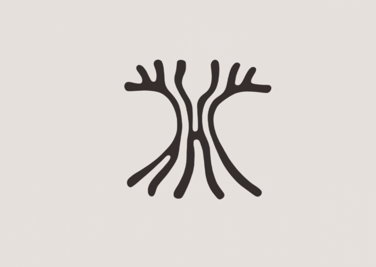 Exposição é resultado da 2ª Residência Formigueiro, dentro da programação do 9º Festival Kino Beat