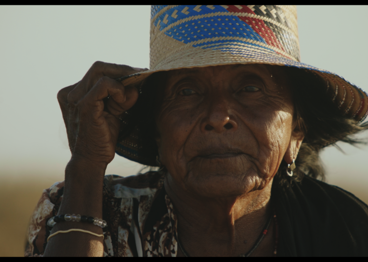 Programação inclui os filmes 'Ainda estou aqui', 'Dessa arte eu sei um pouco' e  'Alma do deserto' (foto)