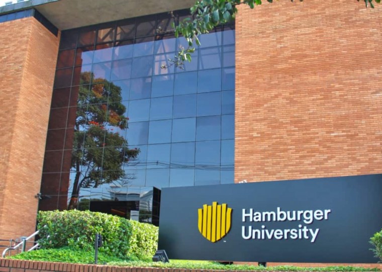 Pataforma reúne mais de 30 cursos livres com certificação emitida pela Hamburger University
